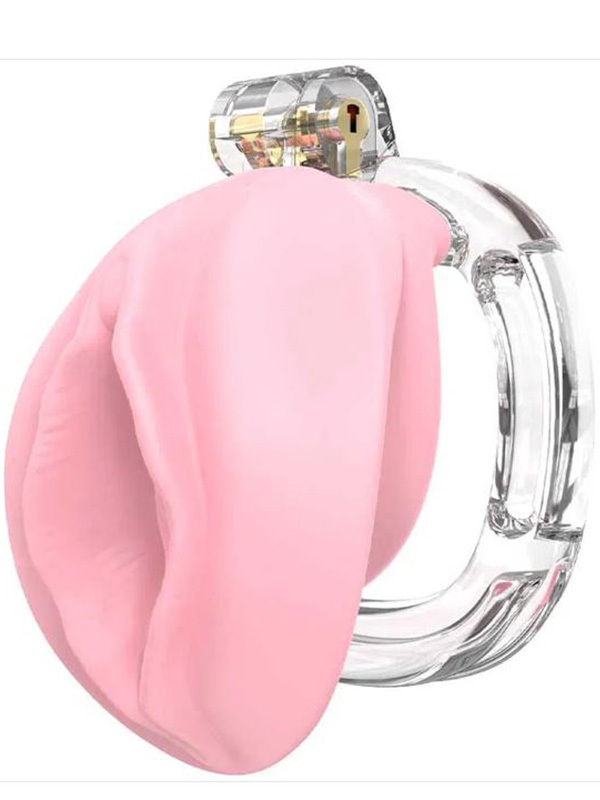 Cage Chastete Penis Pussy BDSM Cage de chasteté Oh! Darling