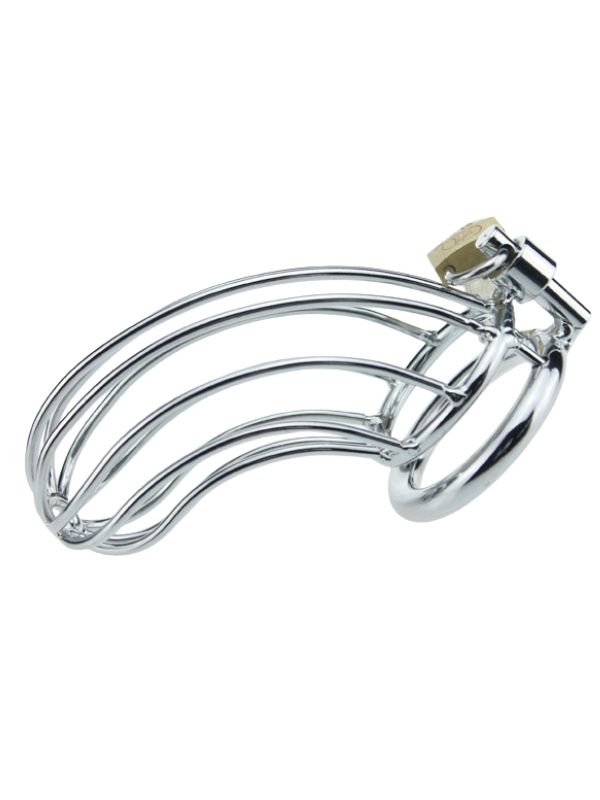 Cage Pénis Métalliques et Cadenas BDSM Cage de chasteté Oh! Darling