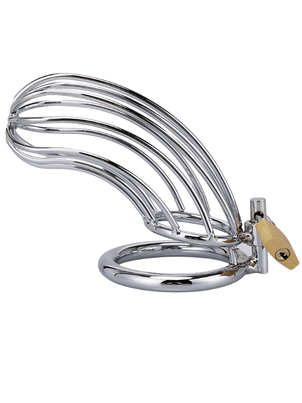 Cage Pénis Métalliques et Cadenas BDSM Cage de chasteté Oh! Darling