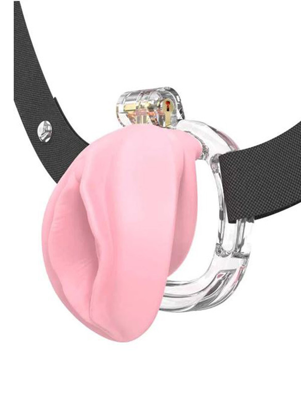 Cage Chastete Penis Pussy BDSM Cage de chasteté Oh! Darling
