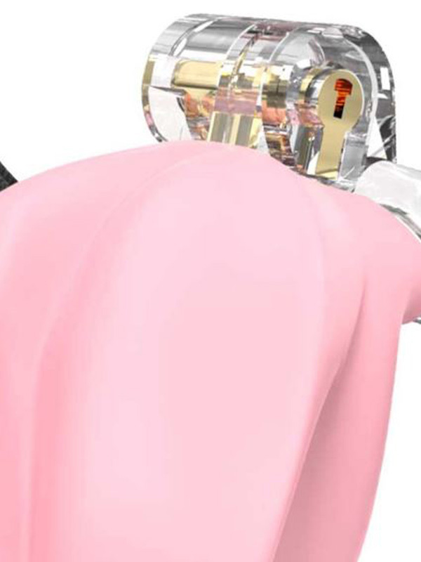 Cage Chastete Penis Pussy BDSM Cage de chasteté Oh! Darling