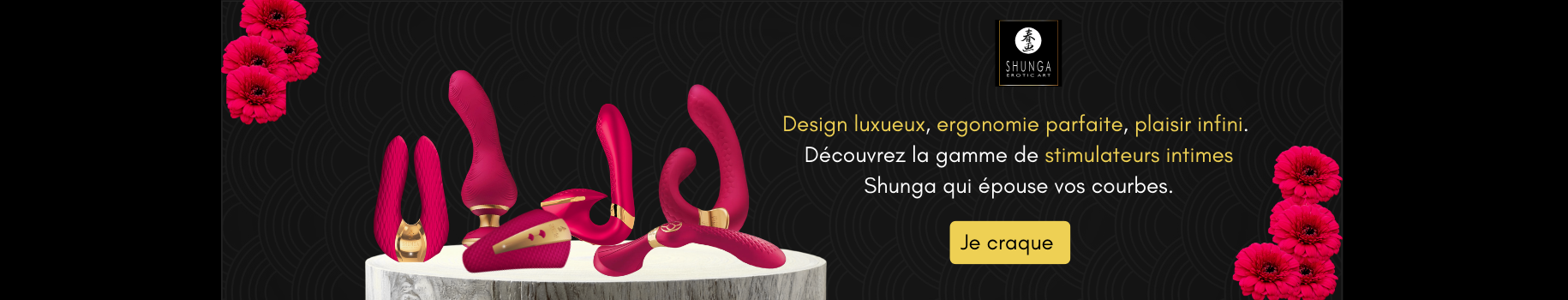 sextoy-shunga